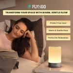 FLYNGO Touch Control LED Night Light Table Lamp for Bedroom, Living Room, and Study, with Adjustable Brightness, USB Rechargeable (A1)Plastic ,White