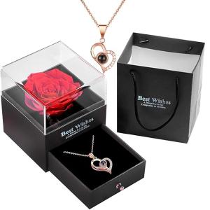 TIED RIBBONS Gift for Girls Girlfriend Wife Mom Mother Girls Women Friends Anniversary Wedding Gift Preserved Red Rose Flower Box with I Love You in 100 Languages (Golden Necklace)