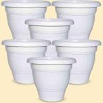 GARDEN POINT 10 INCH POT