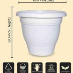 GARDEN POINT 10 INCH POT