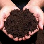 KUSHWAHA NURSERY 100% Pure Organic Vermicompost – 2kg (Powder Form)
